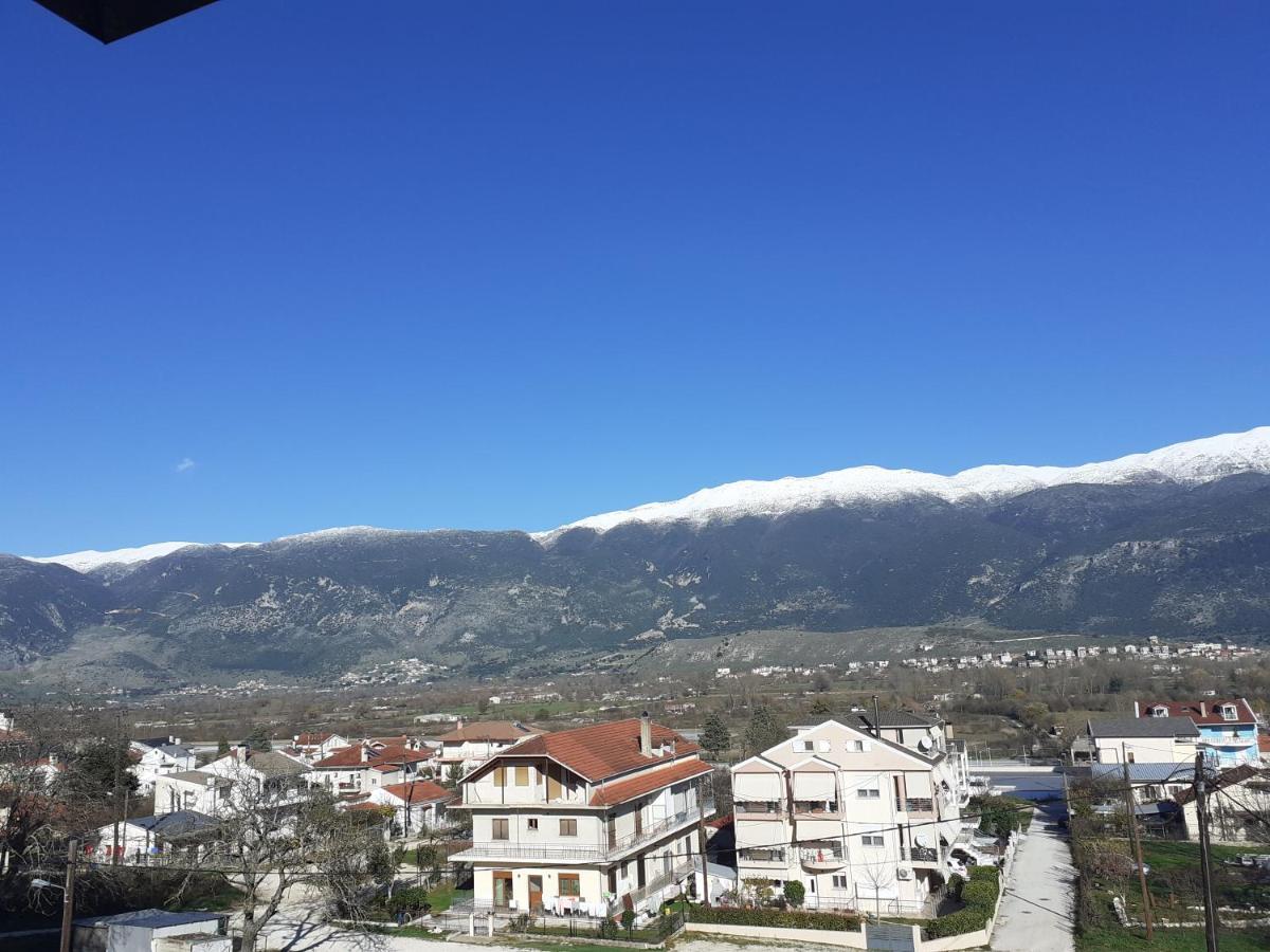 The View Attic Apartment Ioannina Exterior photo