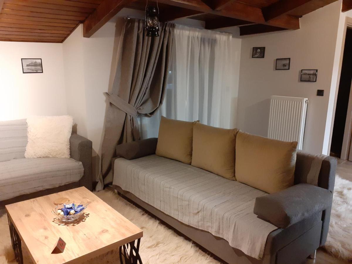The View Attic Apartment Ioannina Exterior photo